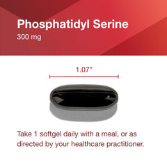 Ingredients overview for Protocol Phosphatidylserine 300mg