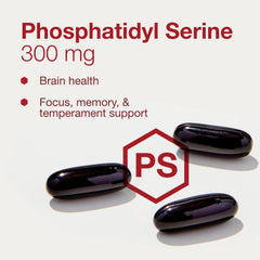 Keto-friendly, egg-free PS 300mg product label