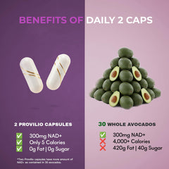 USA-made NSF-certified facility badge