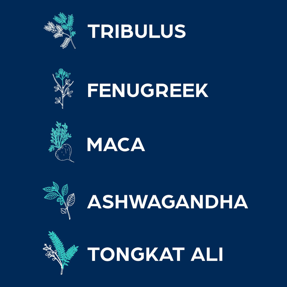 Tribulus, Tongkat Ali, Fenugreek, Ashwagandha, Horny Goat Weed and Maca root ingredients