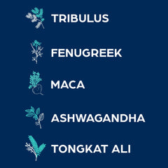 Tribulus, Tongkat Ali, Fenugreek, Ashwagandha, Horny Goat Weed and Maca root ingredients