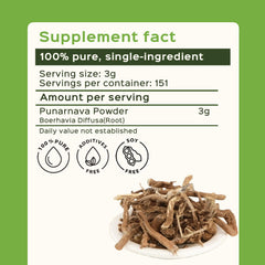 Punarnava powder used for kidney detox infusion preparation