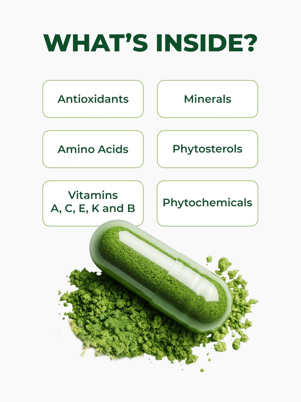 Pura Vida Moringa packaging and labels