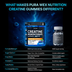 PURA WEX Creatine Gummies bottle with blueberry flavor label detail
