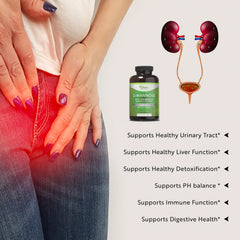 Illustration of Cranberry extract used in Pure By Nature capsules