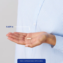 Micronized DHEA capsules highlighting absorption