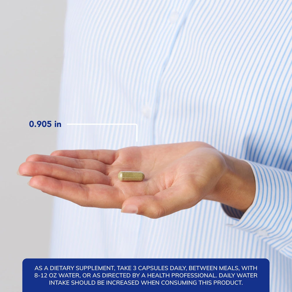 Pure Encapsulations G.I. Fortify capsules close-up showing easy-to-digest capsules.