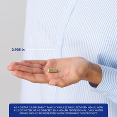 Pure Encapsulations G.I. Fortify capsules close-up showing easy-to-digest capsules.