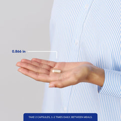 Illustration of L-Carnitine supporting energy production in mitochondria