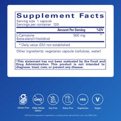 Pure Encapsulations L-Carnosine capsules arranged for joint health support