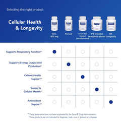 Gluten-free, allergen-free NAC formula