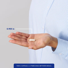 Illustration showing lungs with NAC support