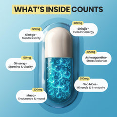 Nature's Synergy Shilajit bottle highlighting 16-in-1 formula