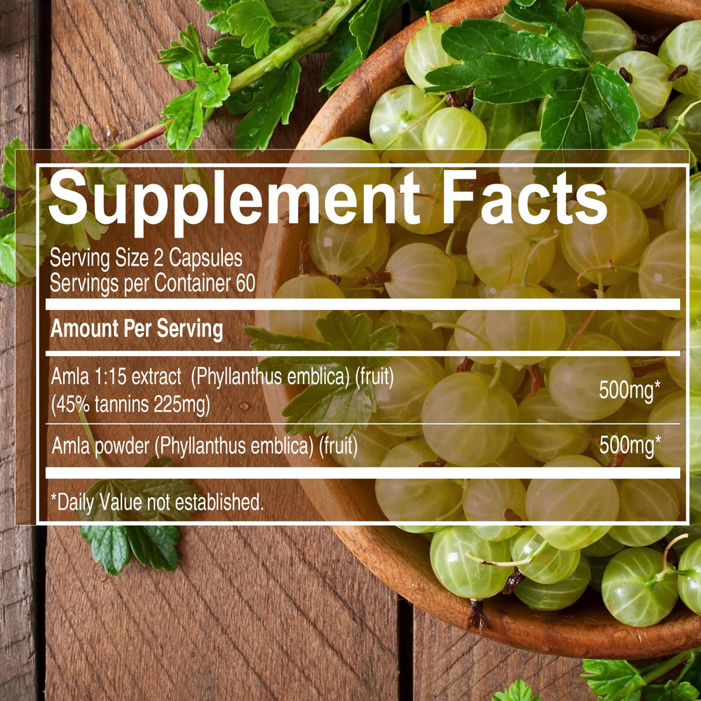 Amla fruit powder and extract ingredients