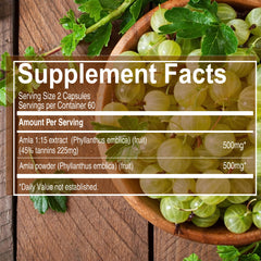 Amla fruit powder and extract ingredients