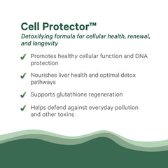Cruciferous vegetables and plant-based antioxidants supporting cellular health