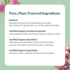 Detox and immune support concept with imagery of DNA protection