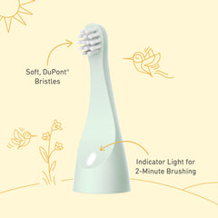2-minute brushing timer with 30-second interval indicator