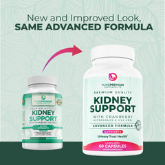 Illustration of urinary tract and bladder health