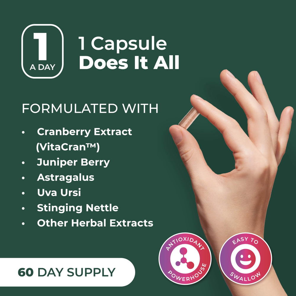 Packaging highlighting a 60-day supply of PurePremium Kidney Support