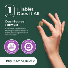 Ingredients panel emphasizing 80% silymarin standardization