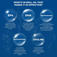 Brain and eyes health icons