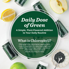 PuriVibe Chlorophyll Green Juice Shot – Stick Pack 9
