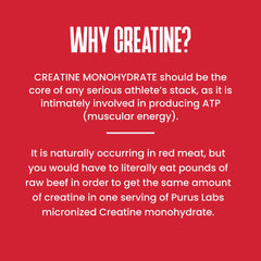 Nutrition facts panel of Purus Labs Creatine Powder
