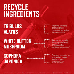 Purus Labs Recycle supplement scene depicting a routine for workouts and daily vitality.