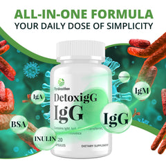 Icons illustrating IgG, IgM, IgA immunoglobulins
