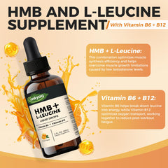 Sugar-free vegan labeling on supplement bottle