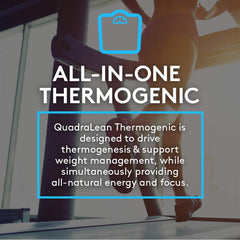 CLA and Acetyl L-Carnitine ingredients illustration