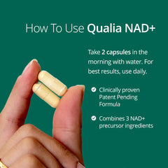 NAD+ aging hallmarks illustration