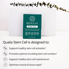 Stem cell health concept iconography