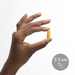 Quality assurance stamp indicating trusted since 1997