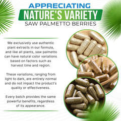 GMP-certified facility quality testing label on Saw Palmetto