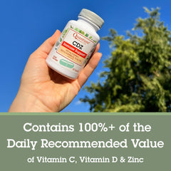 Concept image of immune health and whole-body wellness