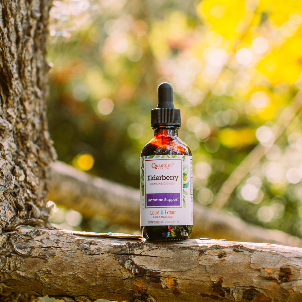 Detail of Quantum Health Elderberry Liquid Extract label