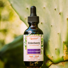Ingredients and dosage information for Quantum Health Elderberry