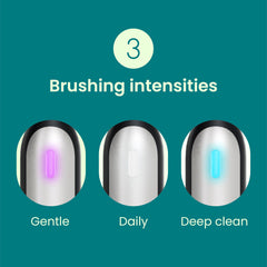 Rechargeable handle showing 30-day battery life