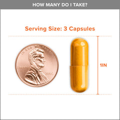 Label highlighting 95% curcuminoids and 2400mg turmeric extract