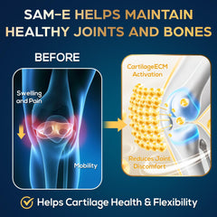 Individual blister-pack packaging for SAM-e capsules