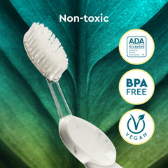 Eco-friendly, sustainable materials used in RADIUS Big Brush