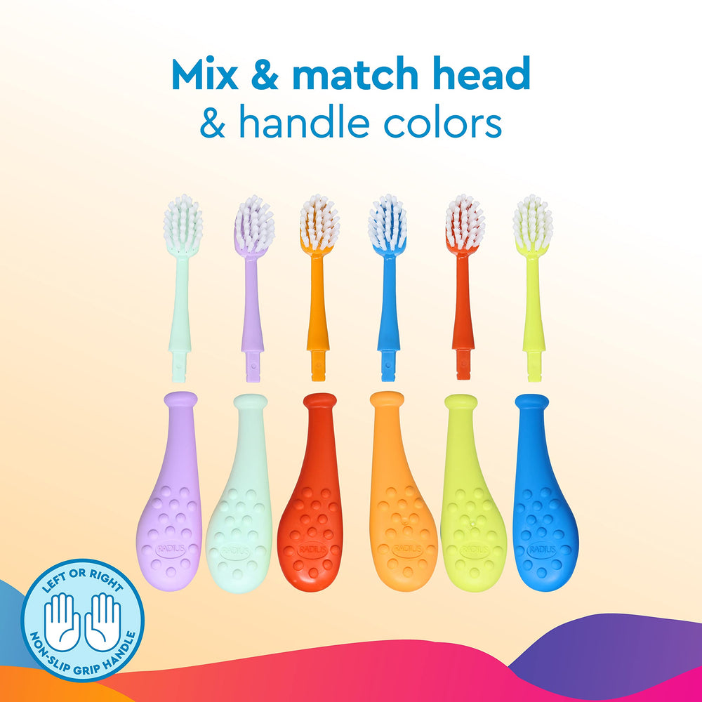 Replacement head and reusable handle components