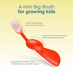 Assorted Radius Kidz toothbrush handles for kids