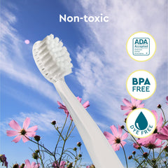 BPA-free and dye-free labeling on Pure Brush