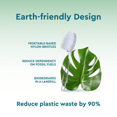 Wide brush surface on RADIUS replacement head for thorough cleaning