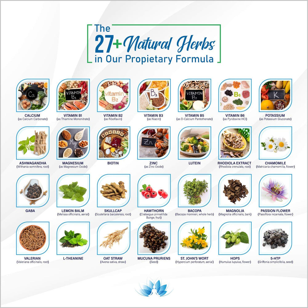 Illustration of the 28-in-1 natural ingredients