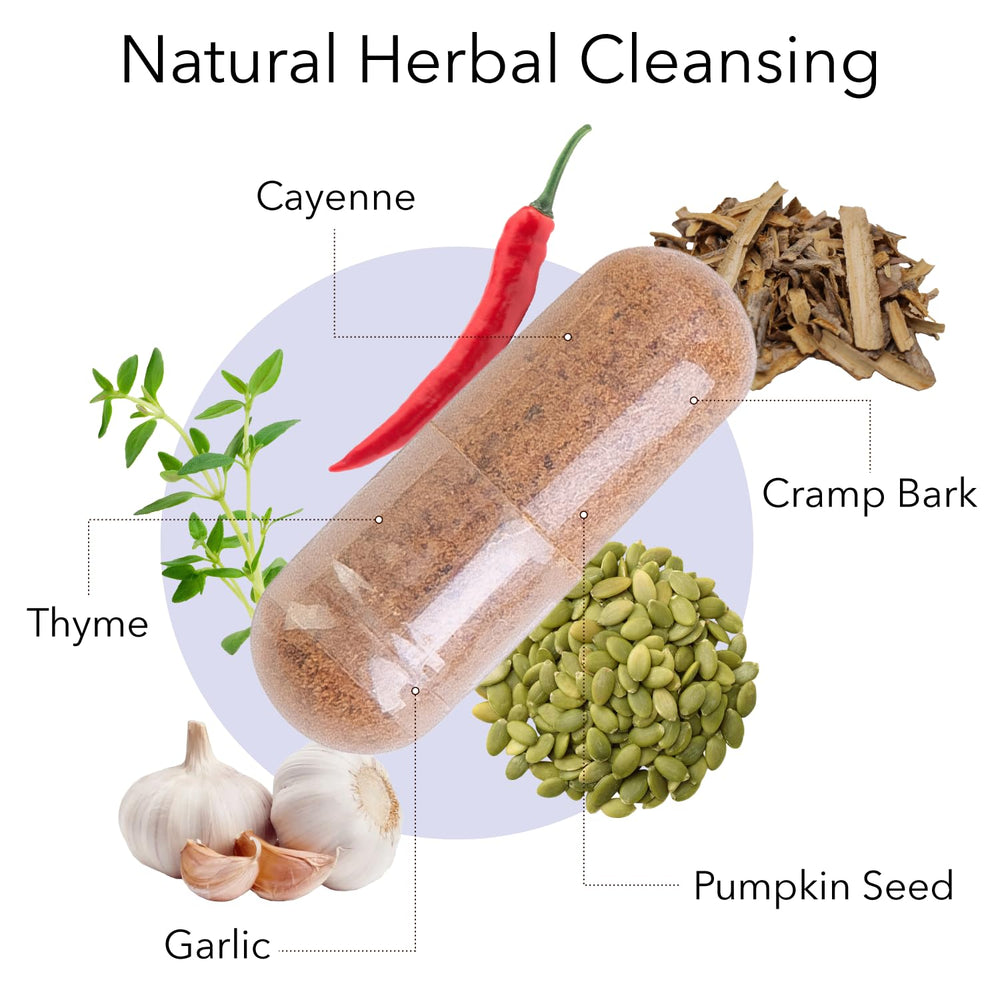 Rascal capsule showing garlic, cayenne and pumpkin seeds
