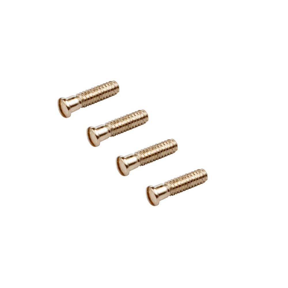 All components of Ray-Ban sunglasses repair kit with screws and screwdriver